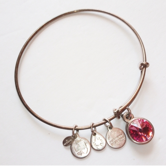 Alex and Ani Energy Charm Bangle - Picture 1 of 4